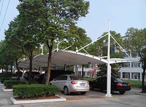 膜結構為何出現色差？膜結構色差如何解決？