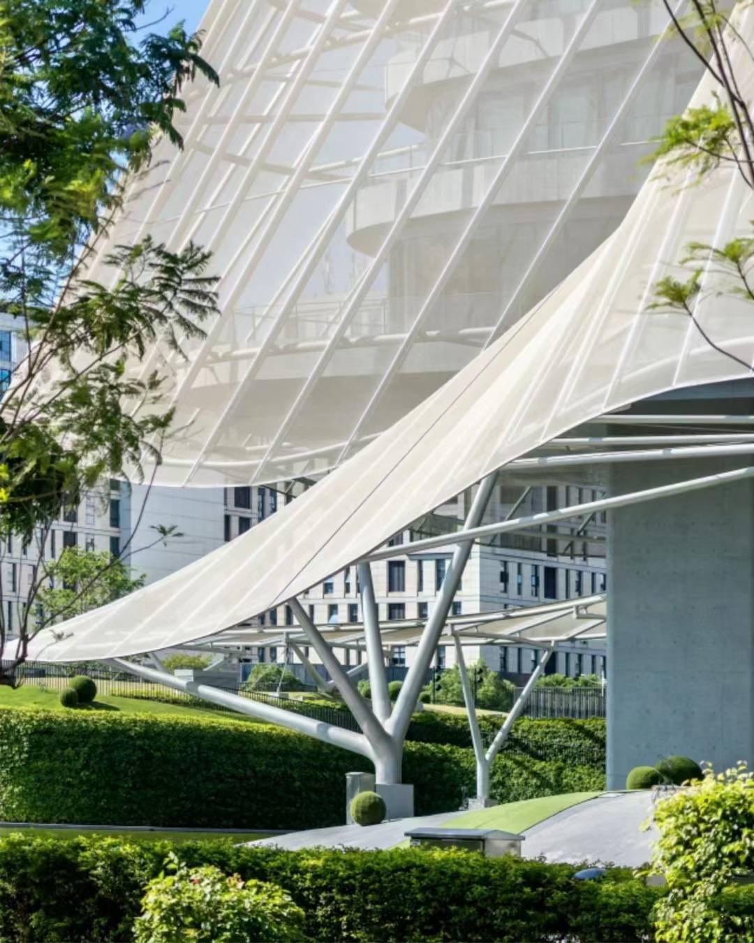 PTFE網格膜的介紹