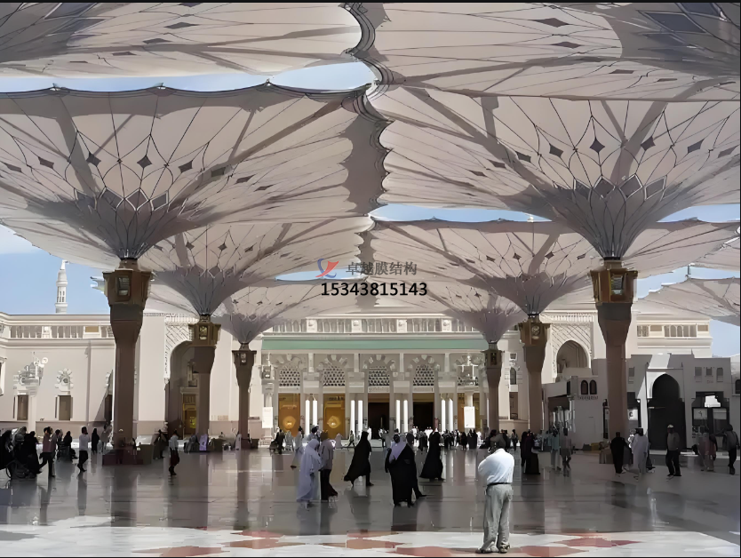 PTFE網格膜，有哪些類別呢？